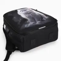 Рюкзак школьный для девочки &laquo;Котёнок&raquo;, Stavia, эргономичная спинка, 30&times;16&times;38 см, чёрный