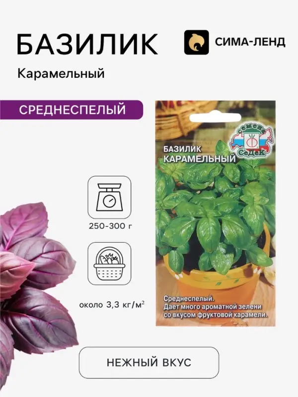 Семена Базилик &laquo;Карамельный&raquo;, 0.2 г, &laquo;СеДеК&raquo;