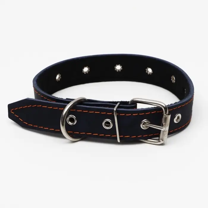 Ошейник кожаный на синтепоне, безразмерный, 65&times;3 см, ОШ 22-55 см, синий