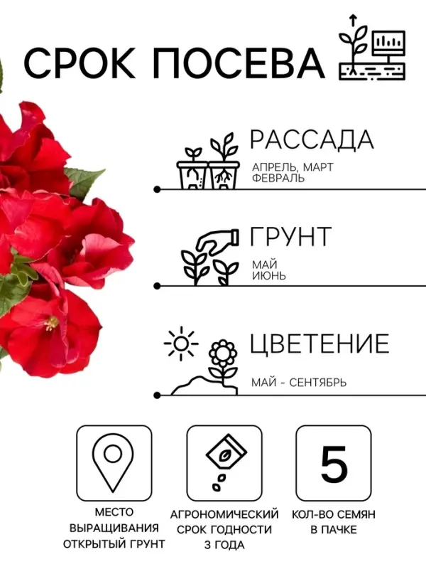 Семена цветов Петуния &laquo;Двойной каскад&raquo;, F1, валентина, 5 шт., PanAmerican, &laquo;АЭЛИТА&raquo;
