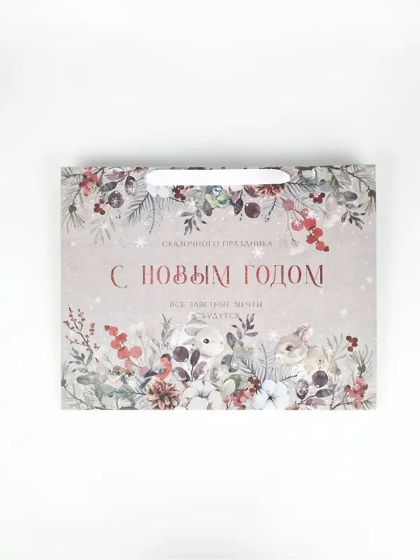 Набор новогодних пакетов &laquo;Спешу поздравить&raquo;