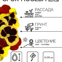 Семена Виола "Майя Виттрока", ц/п,  0,05 г