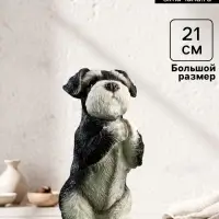 Фигурка полистоун &laquo;Попрошайка Шнауцер&raquo;, 9&times;10&times;21 см