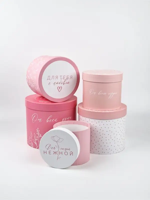 Набор подарочных коробок, упаковка, 5 в 1 «Нежность», 14 × 13 ‒22 × 19,5 см Набор подарочных коробок, упаковка, 5 в 1 «Нежность», 14 × 13 ‒22 × 19,5 см