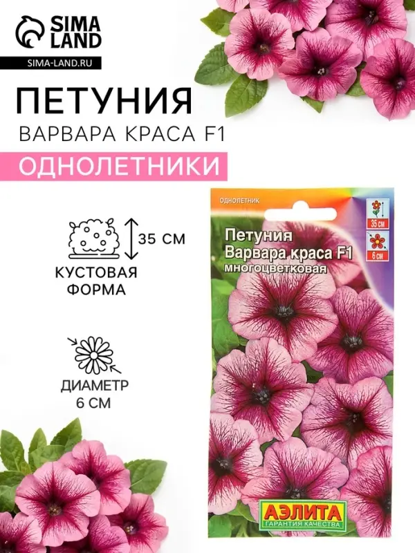 Семена цветов Петуния &laquo;Варвара Краса F1&raquo; многоцветковая, однолетник, 7 шт.