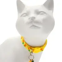 Набор ошейников для кошек &laquo;Фрукты&raquo;, 19-32&times;1 см, 4 шт.