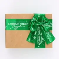 Лента атласная &laquo;С Новым годом!&raquo;, 5 см &times; 23&plusmn;1 м, зелёная