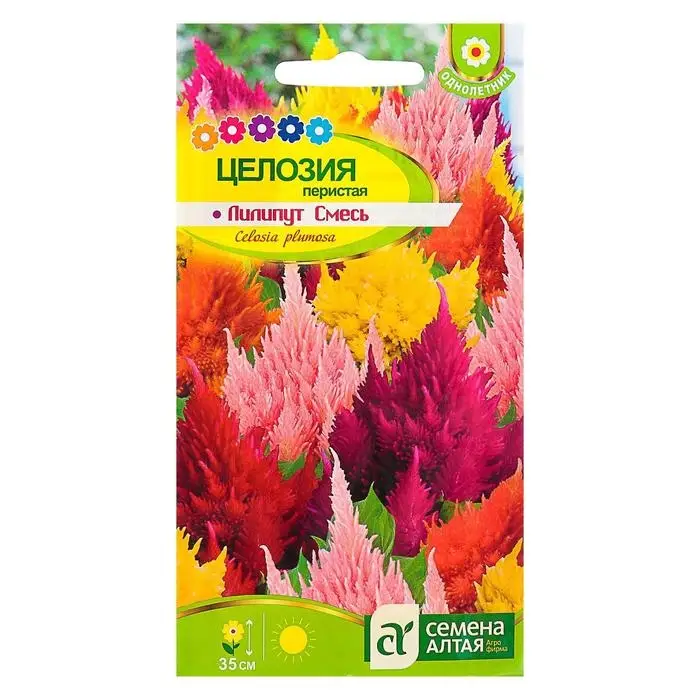 Семена цветов Целозия Лилипут смесь перистая, О, ц/п, 0,1 г Семена цветов Целозия Лилипут смесь перистая, О, ц/п, 0,1 г