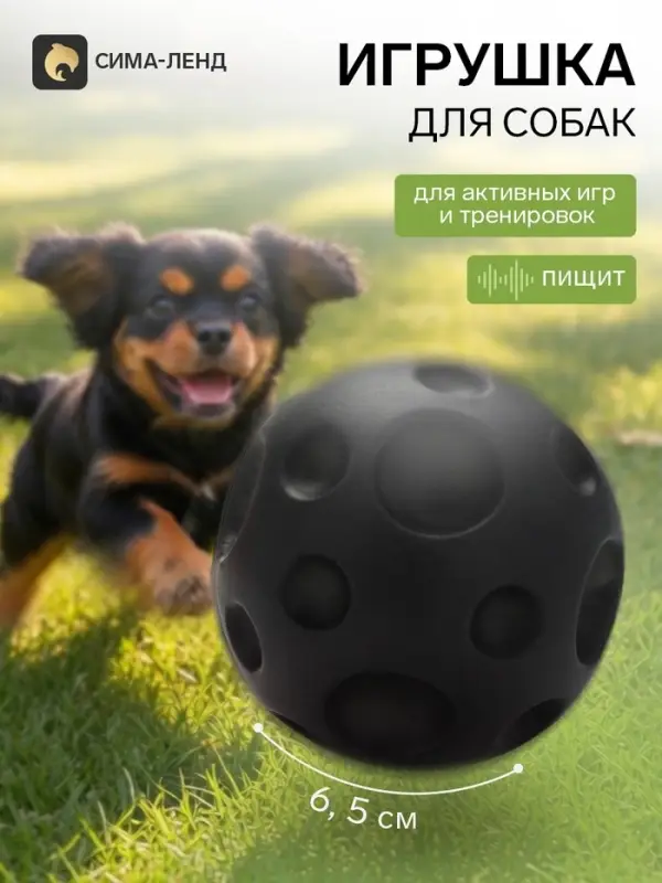 Игрушка для собак с пищалкой &laquo;Мячик планета&raquo;, 6.5 см, черная