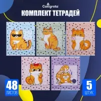 Тетради 5 штук, 48 листов в клетку &laquo;Коты&raquo;, обложка мелованный картон, блок офсет