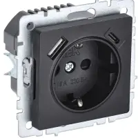 BRITE Розетка с заземлением с защитными шторками 16А с USB A+C 18Вт РЮш11-1-БрЧ черный
