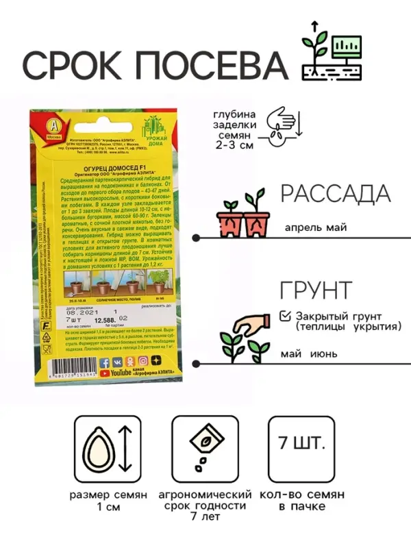Семена огурца "Домосед", F1, 7 шт.