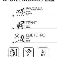 Семена цветов Аквилегия "Cмесь пяти окрасок", F1, 5 шт.