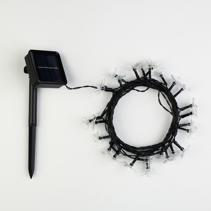 Гирлянда «Нить», 4.5 м, с насадками в виде ромашек, IP44, 30 LED, 2 режима, солнечная батарея, тёмная нить, свечение мульти Гирлянда «Нить», 4.5 м, с насадками в виде ромашек, IP44, 30 LED, 2 режима, солнечная батарея, тёмная нить, свечение мульти