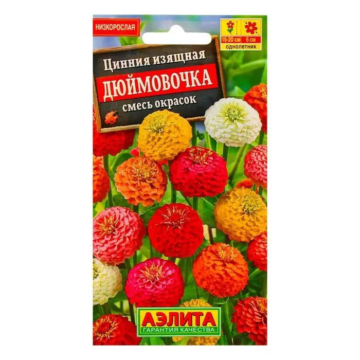 Семена цветов Цинния  Семена цветов Цинния "Дюймовочка", смесь окрасок, О, 0,3 г