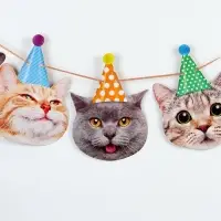 Гирлянда бумажная &laquo;Котики&raquo;, 250 см
