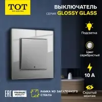 Выключатель TOT Glossy Glass, 10 А, 1 клавиша, с подсветкой, скрытый монтаж, стеклянная рамка, серебристый