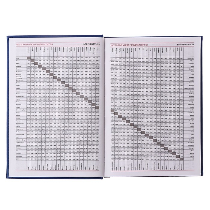 Ежедневник недатированный А5, 160 листов "Вивелла", обложка искусственная кожа, синий