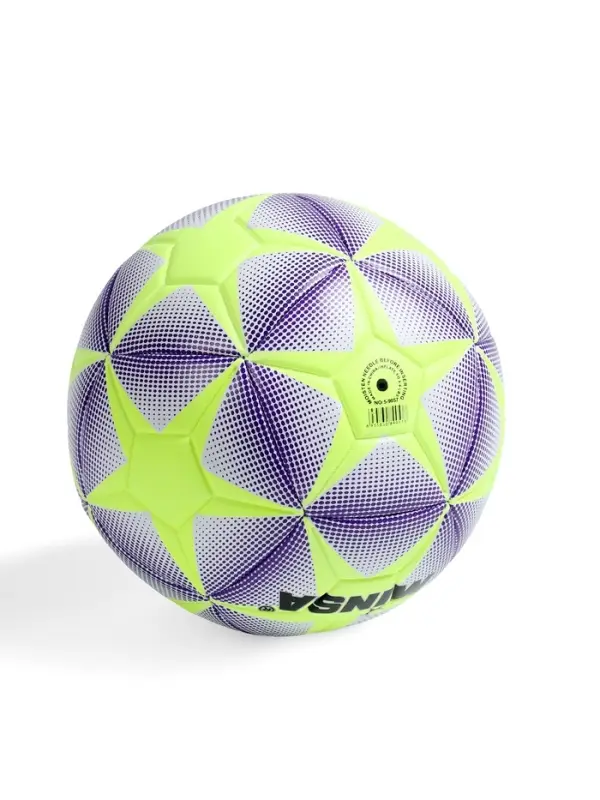 Футбольный мяч MINSA, машинная сшивка, 12 панелей, р. 5, TPE