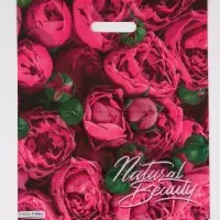 Пакет "Розовые бутоны, полиэтиленовый с вырубной ручкой, 38х45 см, 60 мкм Пакет "Розовые бутоны, полиэтиленовый с вырубной ручкой, 38х45 см, 60 мкм