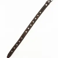 Ошейник кожаный &laquo;Строгий шип&raquo;, 65&times;3 см, ОШ 40-55 см, чёрный