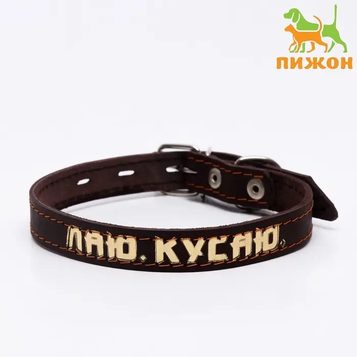 Ошейник кожаный однослойный, тиснёный &laquo;Лаю. Кусаю&raquo;, 48&times;2, ОШ 32-43 см, коричневый с золотом
