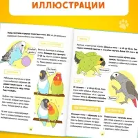 Энциклопедия в твёрдом переплёте &laquo;Домашние питомцы&raquo;, 72 стр.