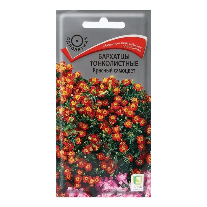Семена цветов Бархатцы тонколистные  Семена цветов Бархатцы тонколистные "Красный самоцвет" 0,1 г