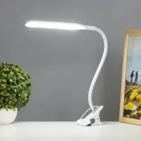 Лампа настольная RISALUX &laquo;Офисный белый&raquo;, светодиодная, на прищепке, от USB, 11&times;7.5&times;60.5 см