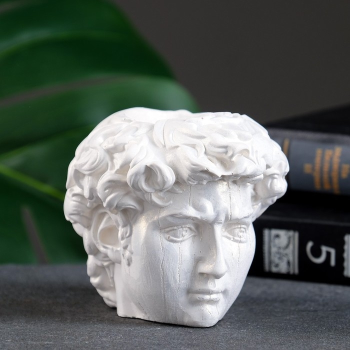 Кашпо - органайзер Кашпо - органайзер"Голова Давида" перламутр, 9х9х9см