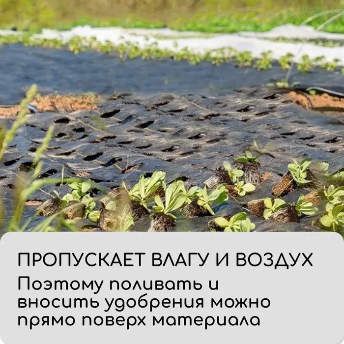 Агроткань застилочная, с разметкой, 5&times;1.6 м, плотность 100 г/м&sup2;, полипропилен, Greengo, Эконом 50%