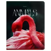 Тетрадь 96 листов в клетку на скрепке "Животные", обложка мелованный картон, глянцевая ламинация, МИКС Тетрадь 96 листов в клетку на скрепке "Животные", обложка мелованный картон, глянцевая ламинация, МИКС