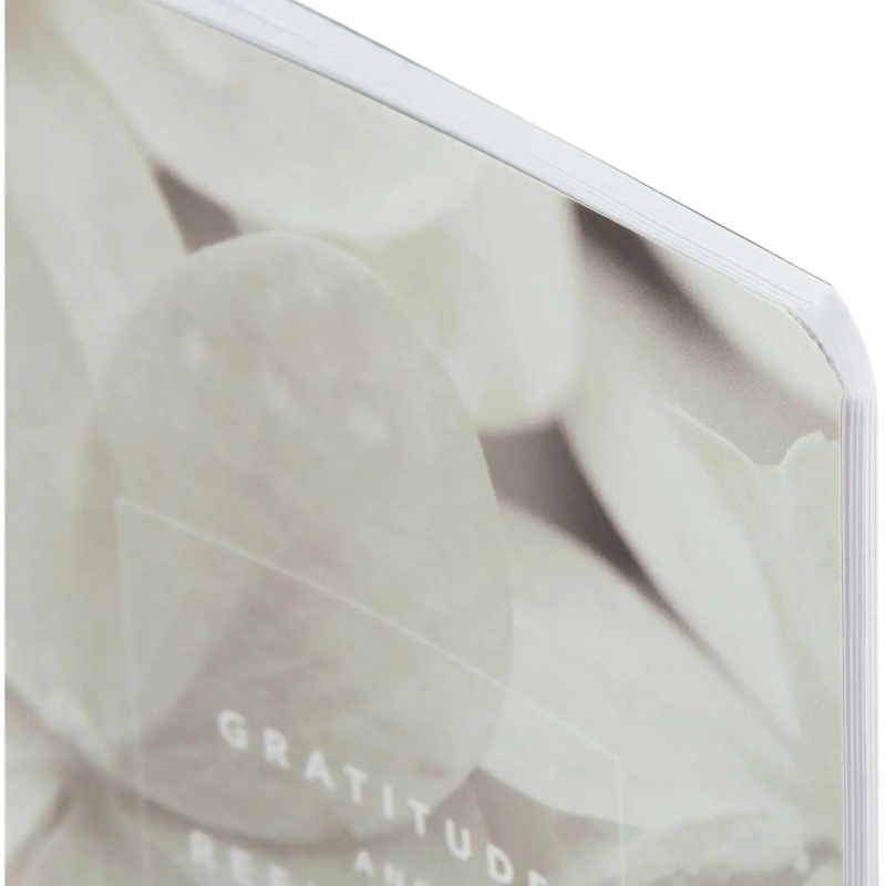 Блокнот BS, 130х210мм, 48л.,линейка, скрепка. Botanica, гортензия N4122