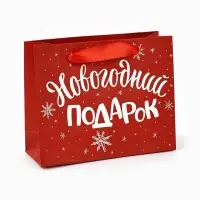 Пакет подарочный новогодний ламинированный &laquo;Новогодний подарок&raquo;, S 5.5 см &times; 15 см &times; 12 см
