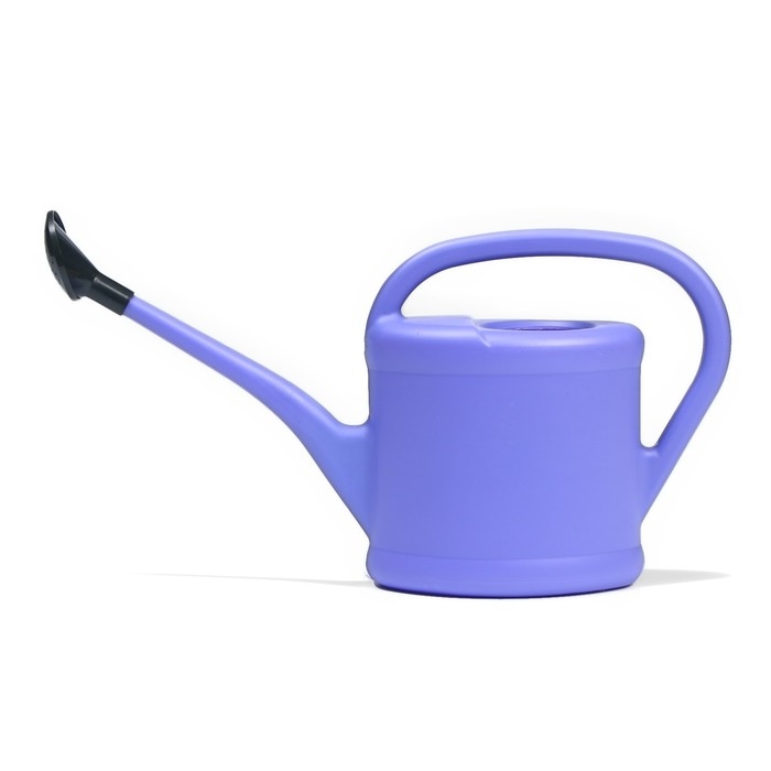 Лейка, 2 л, с рассеивателем, носик d = 14 мм, цвет МИКС Лейка, 2 л, с рассеивателем, носик d = 14 мм, цвет МИКС