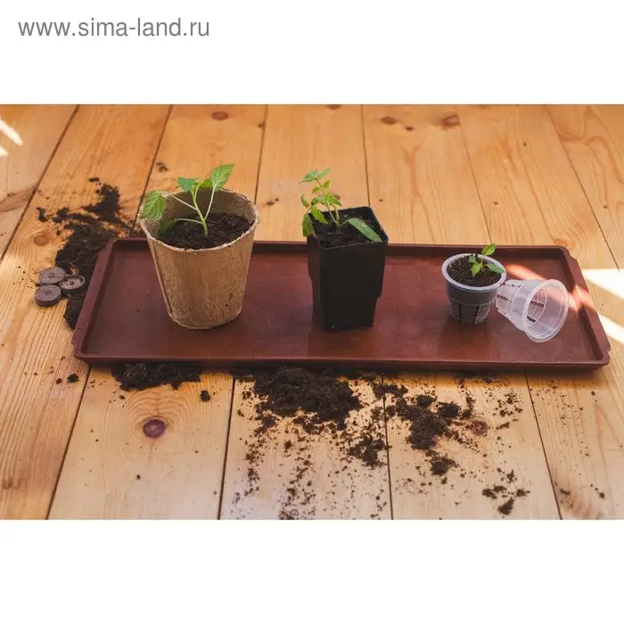 Поддон для рассады, 48&times;14&times;2 см, пластик, цвет МИКС