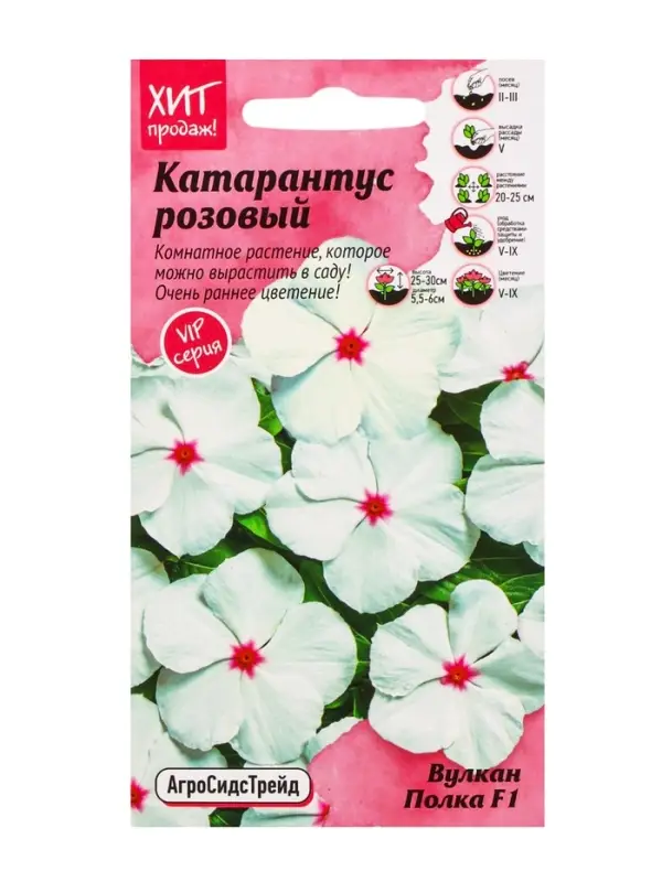 Семена цветов Катарантус розовый "Вулкан Полка F1", 5 шт