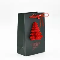Пакет подарочный «Новый год», с бумажной игрушкой, елка, 18 × 23 × 11 см Пакет подарочный «Новый год», с бумажной игрушкой, елка, 18 × 23 × 11 см