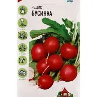 Семена Редис &laquo;Бусинка&raquo;, 2.0 г, &laquo;Гавриш&raquo;
