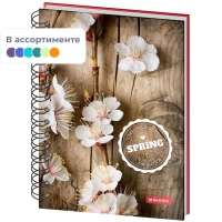 Бизнес-тетрадь Spring А5,120л, клетка, Mariner на спирали, 0018