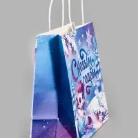 Пакет подарочный «С Новым годом 2025», белый крафт, 22 × 25 × 12 см