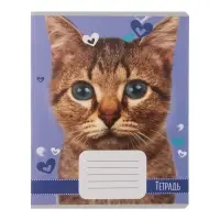 Комплект тетрадей из 10 штук, 18 листов в линию Calligrata "Домашние животные", обложка мелованный картон, ВД-лак, блок офсет, 5 видов по 2 штуки