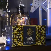 Гирлянда &laquo;Бахрома&raquo; 3&times;0.6 м, IP44, УМС, белая нить, 160 LED, свечение бело-синее, мигание, 220 В