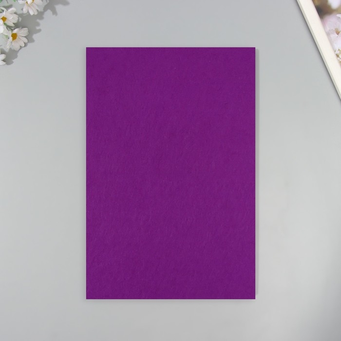 Набор жесткого фетра (5 листов) 1 мм 20х30 см, фиолетовый Набор жесткого фетра (5 листов) 1 мм 20х30 см, фиолетовый