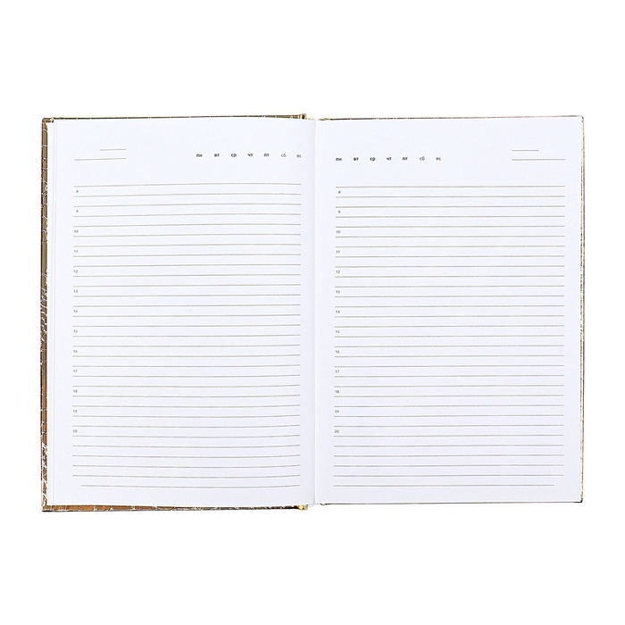 Ежедневник недатированный,ованный, A5, 136 листов, Attomex. Arkona, твердая обложка, бумвинил с поролоном, ляссе, блок 70%, золотой