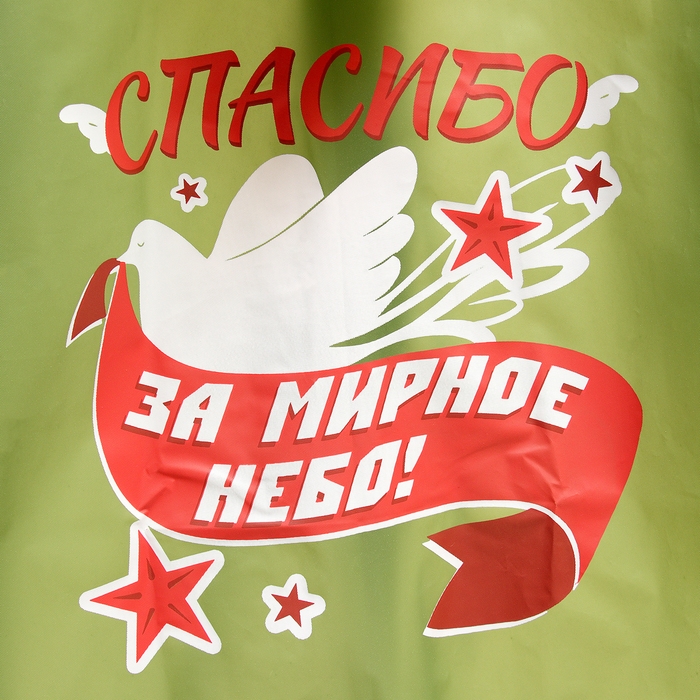 Карнавальный набор «9 мая!», рост 104-152 см, дождевик, флажок Карнавальный набор «9 мая!», рост 104-152 см, дождевик, флажок