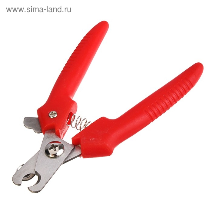 Когтерез боковой малый с прямыми ручками, 12 х 4 х 1 см, эконом, микс цветов Когтерез боковой малый с прямыми ручками, 12 х 4 х 1 см, эконом, микс цветов