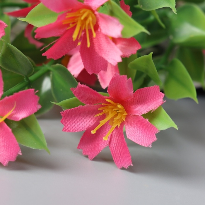 Букет Букет "Зверобой галант" 31 см, микс