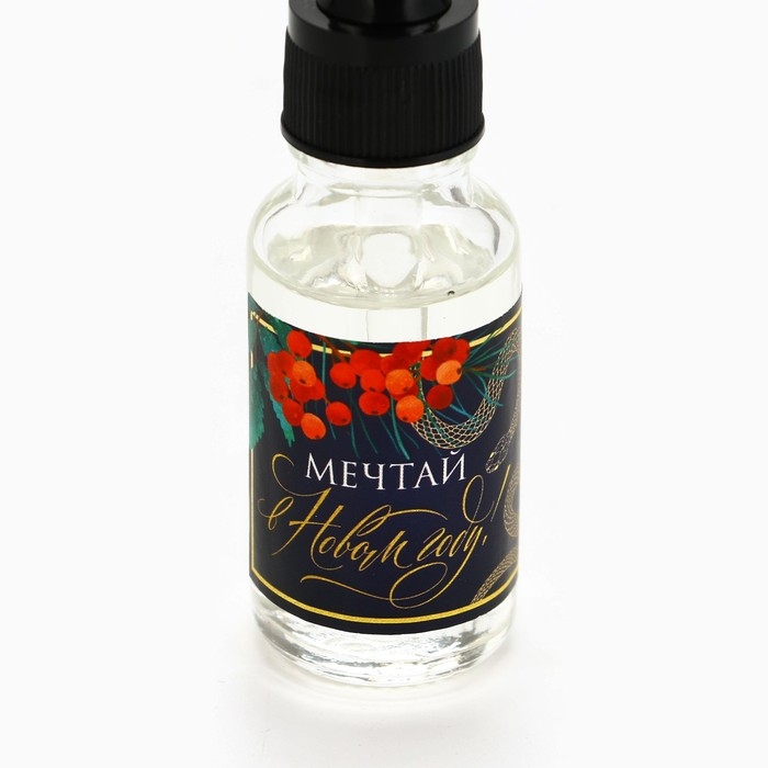 Аромамасло «Новогодняя коллекция: Мечтай», аромат леса Аромамасло «Новогодняя коллекция: Мечтай», аромат леса