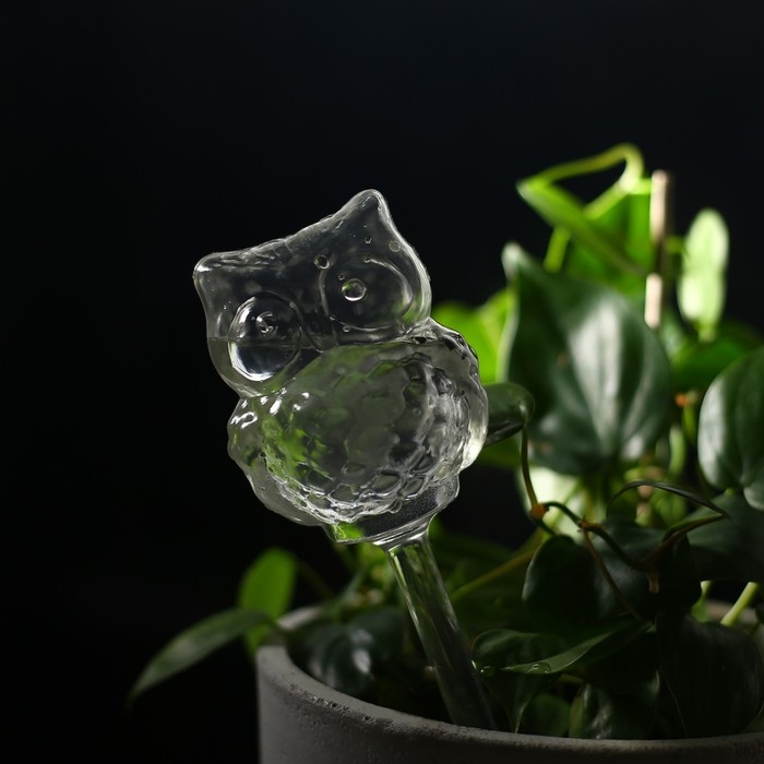 Автополив для комнатных растений, ПВХ, «Сова», 200 мл, Greengo Автополив для комнатных растений, ПВХ, «Сова», 200 мл, Greengo